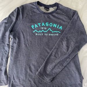 Patagonia lightweight thermal sweatshirt